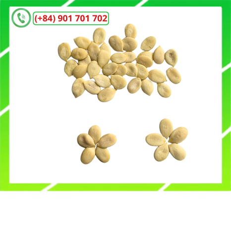 Hạt Dưa Tách Vỏ SanDry