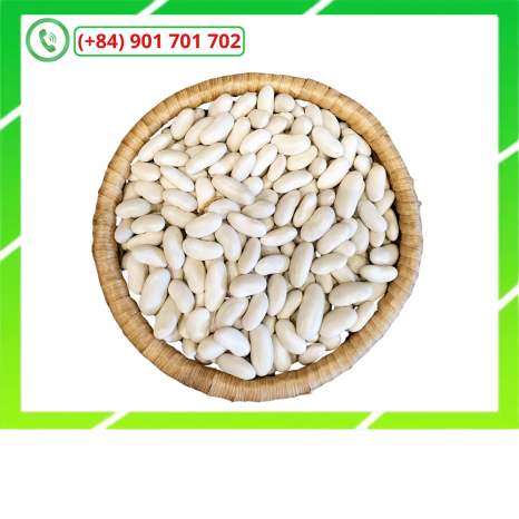Đậu Trắng SanDry